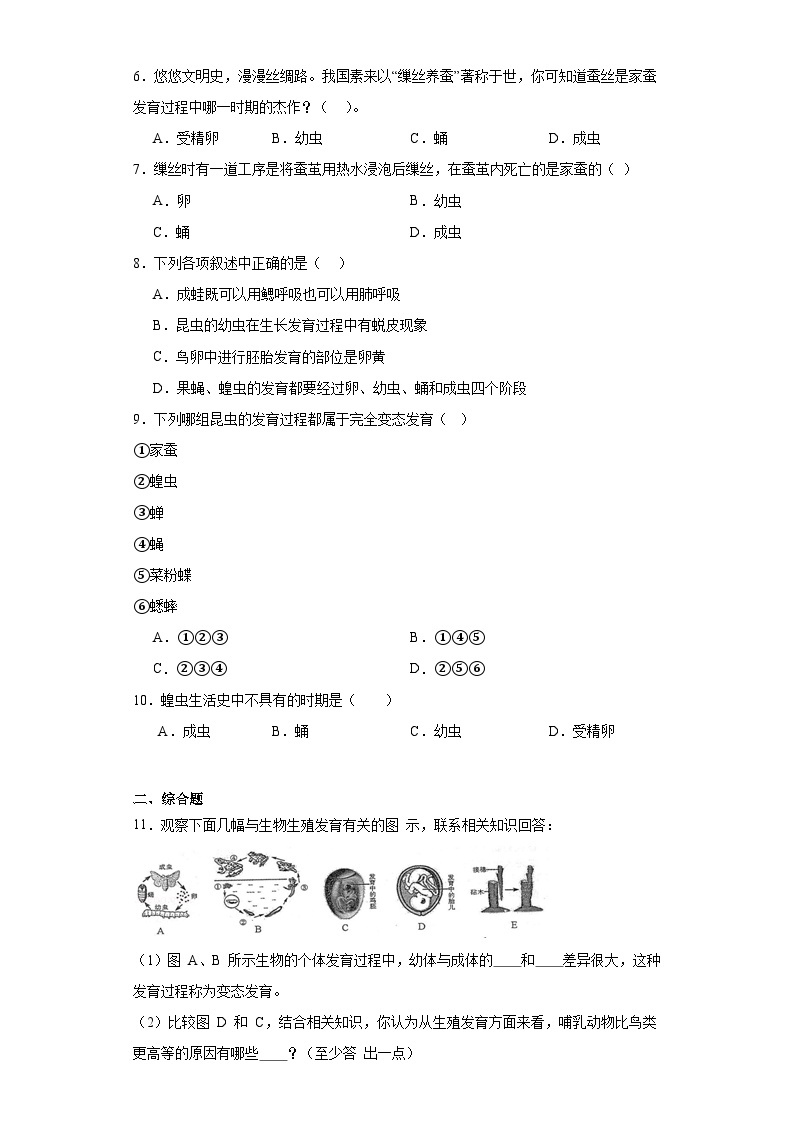 【核心素养】人教版初中生物八年级下册7.1.2《昆虫的生殖和发育》课件+教案+课时练习（含教学反思）02