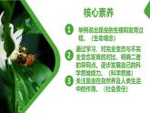 【核心素养】人教版初中生物八年级下册7.1.2《昆虫的生殖和发育》课件+教案+课时练习（含教学反思）