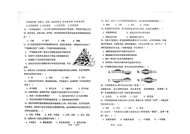 广东省汕头市潮南区阳光实验学校2023-2024学年八年级上学期期中质量检测生物试卷02