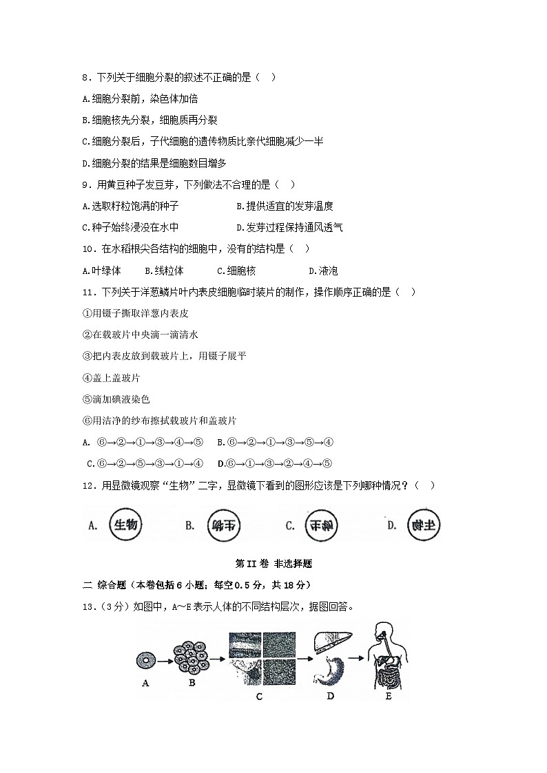 辽宁省鞍山市铁西区2023年-2024学年七年级上学期期中生物试题02