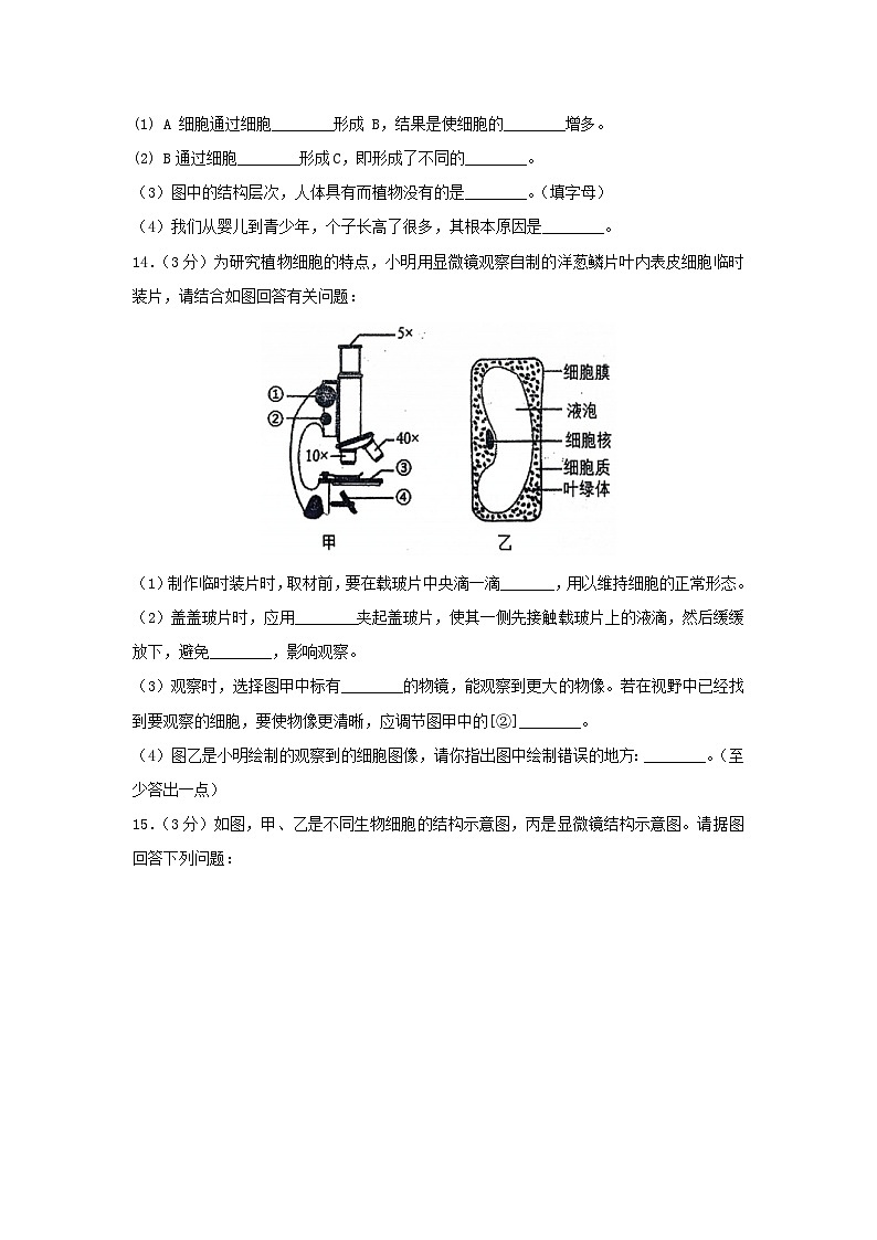 辽宁省鞍山市铁西区2023年-2024学年七年级上学期期中生物试题03