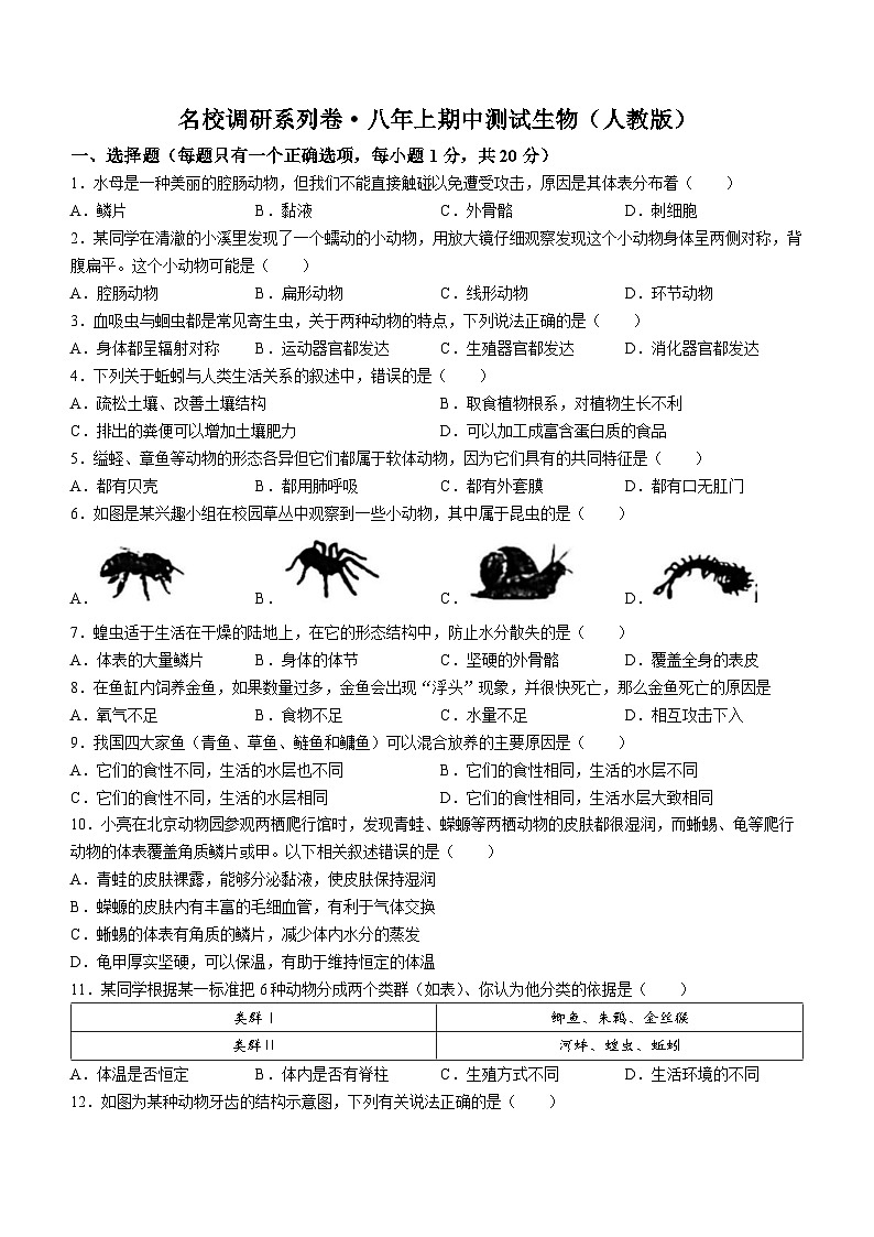 吉林省松原市前郭县三校联考2023-2024学年八年级上学期期中生物试题第1页