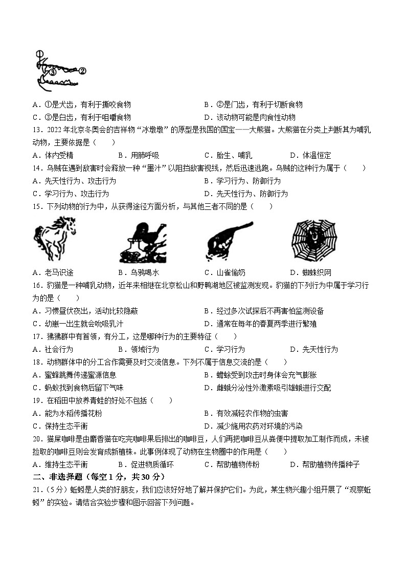 吉林省松原市前郭县三校联考2023-2024学年八年级上学期期中生物试题第2页