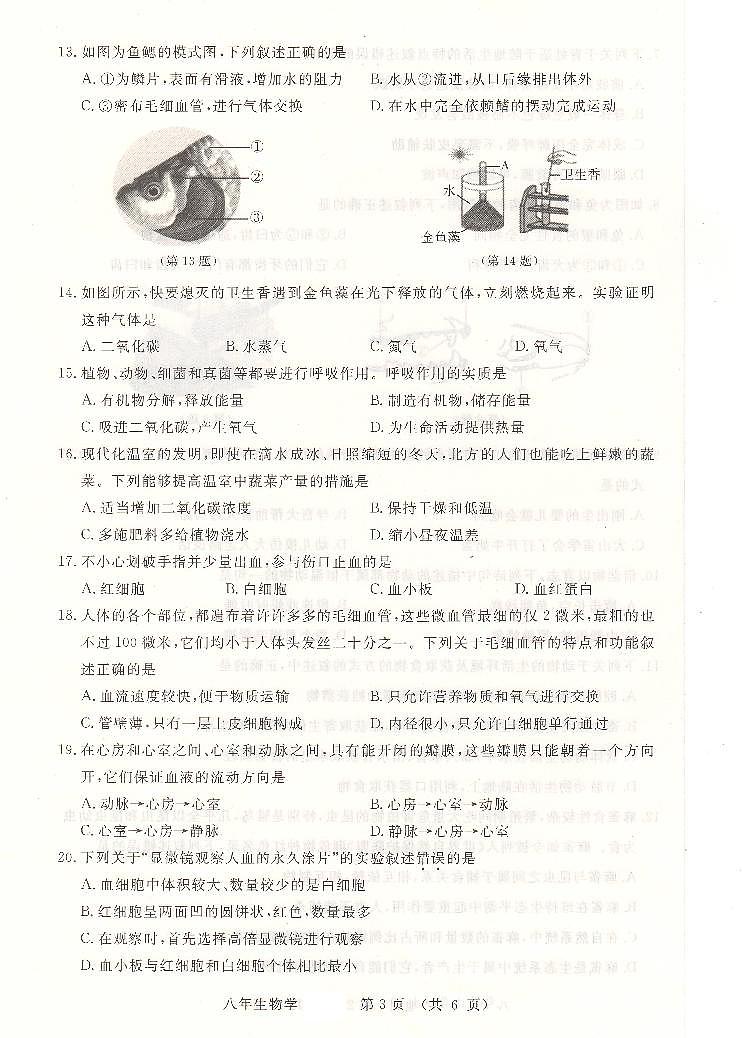 吉林省长春汽车经济技术开发区2023-2024学年八年级上学期10月期中生物试题第3页