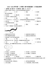 吉林省长春市朝阳区2023-2024学年八年级上学期期中生物试题