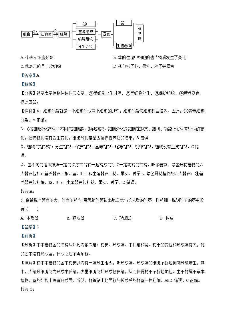 江苏省盐城市盐都区第一共同体2022-2023学年八年级下学期5月月考生物试题（解析版）第3页