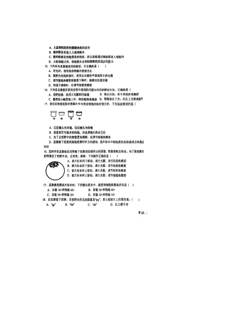 山东省乐陵市孔镇中学2023-2024学年七年级上学期第一次月考生物试题03