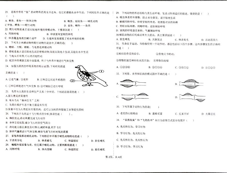 云南省石林县鹿阜中学2022－2023学年八上生物期中考卷02