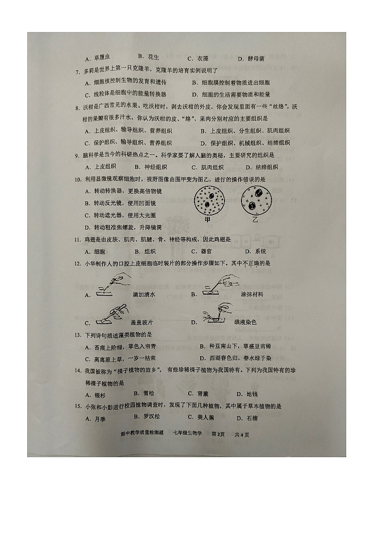 广西北海市合浦县2023-2024学年七年级上学期期中生物试题第2页