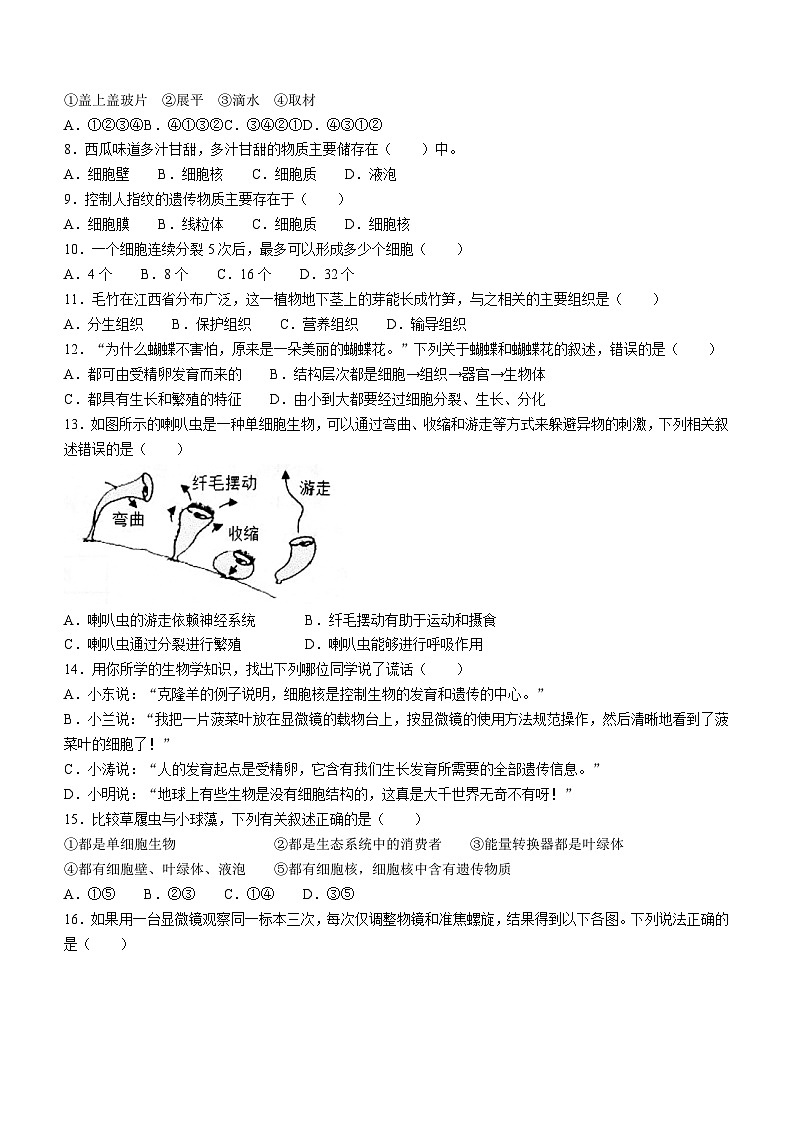 江西省宜春市高安市2023-2024学年七年级上学期期中生物试题02