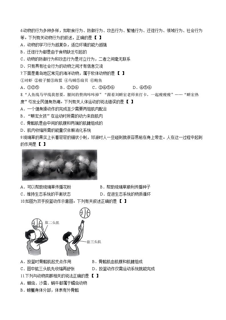 河南南阳市新野县三校2023-2024学年八年级上学期期中生物试题02