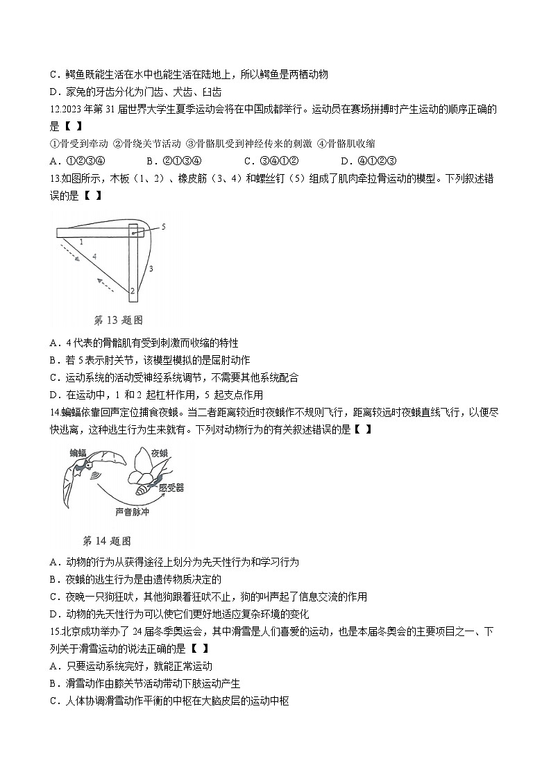 河南南阳市新野县三校2023-2024学年八年级上学期期中生物试题03