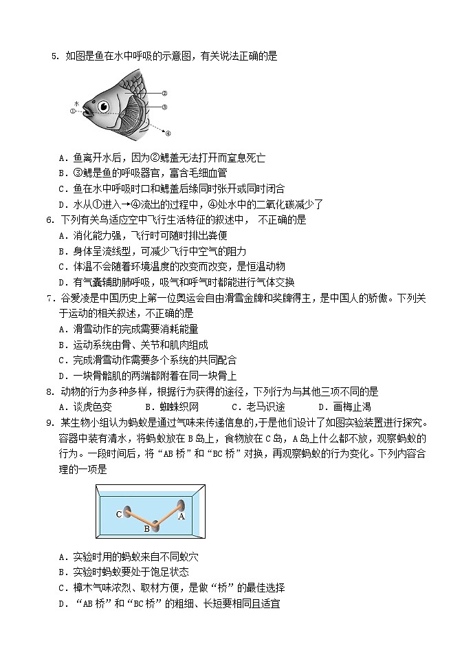 四川省眉山市仁寿县城区2023-2024学年八年级上学期期中考试生物试题02