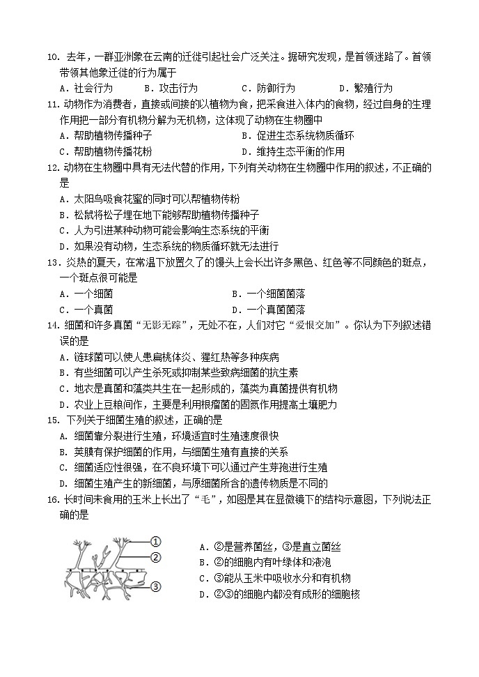 四川省眉山市仁寿县城区2023-2024学年八年级上学期期中考试生物试题03