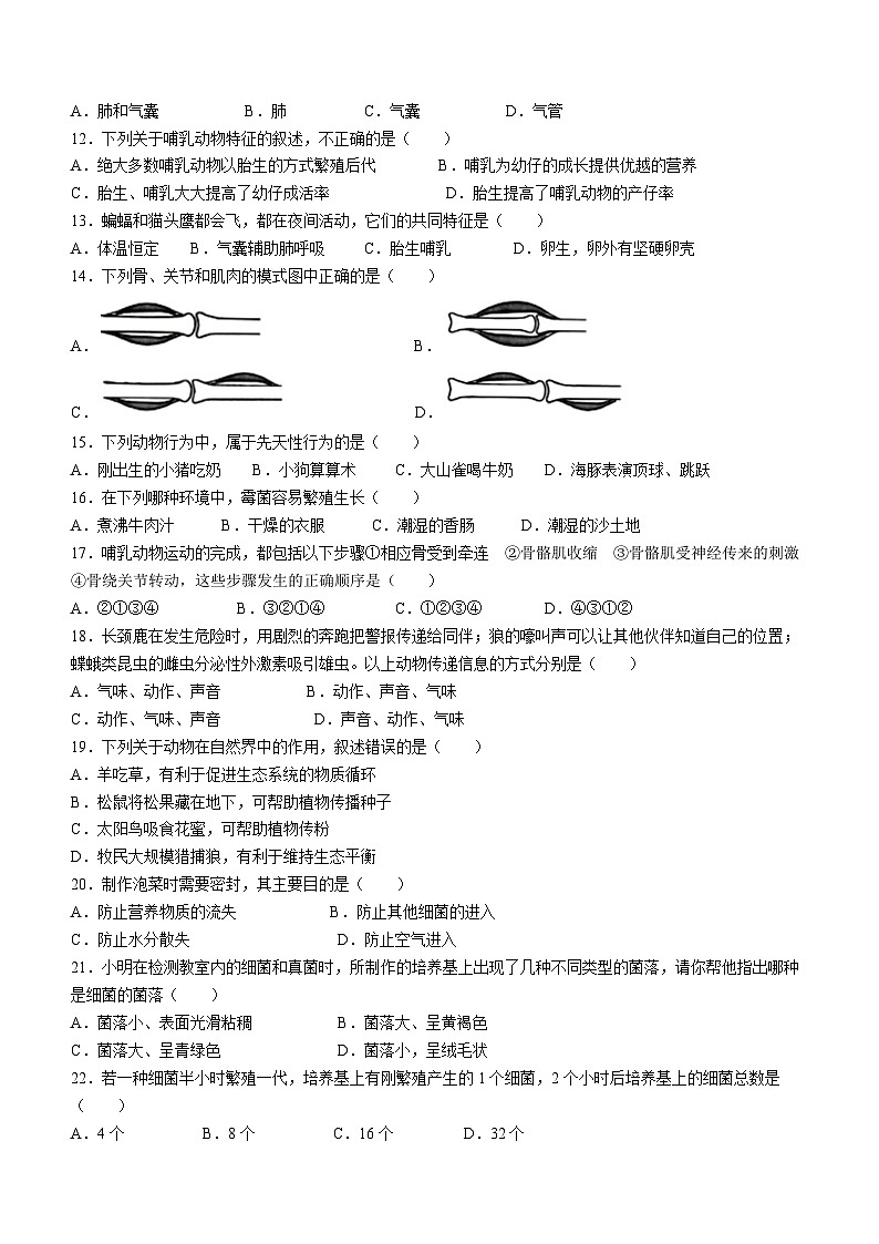黑龙江省齐齐哈尔市铁峰区2023-2024学年八年级上学期期中生物试题第2页