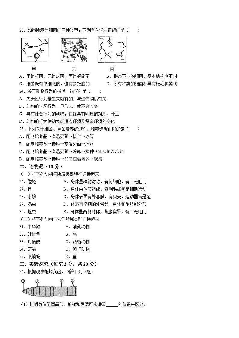 黑龙江省齐齐哈尔市铁峰区2023-2024学年八年级上学期期中生物试题第3页