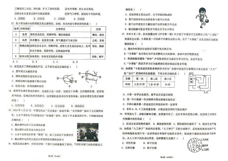 山东省东营市广饶县实验中学2023-2024学年八年级上学期期中考试生物学试卷02