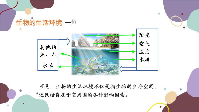 人教版生物七年级上册 1.2.1生物与环境的关系优化课件04