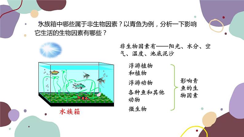 人教版生物七年级上册 1.2.2生物与环境组成生态系统优化课件02