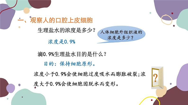 人教版生物七年级上册 2.1.3动物细胞优化课件07