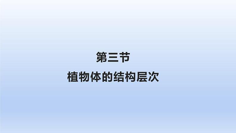 人教版生物七年级上册 2.2.3植物体的结构层次优化课件04