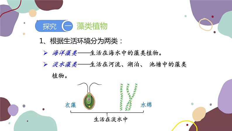 人教版生物七年级上册 3.1.1藻类、苔藓和蕨类植物优化课件第6页