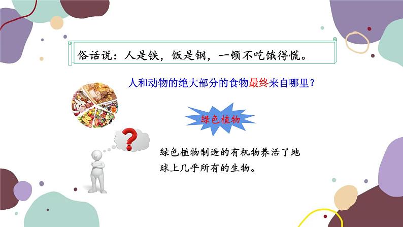 人教版生物七年级上册 3.4绿色植物是生物圈中有机物的制造者优化课件02