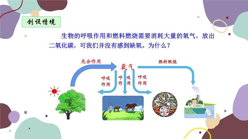 人教版生物七年级上册 3.5.1光合作用吸收二氧化碳释放氧气优化课件01