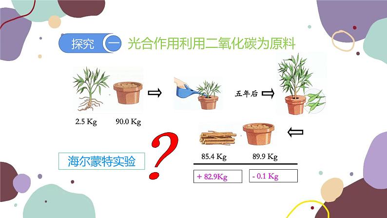 人教版生物七年级上册 3.5.1光合作用吸收二氧化碳释放氧气优化课件04