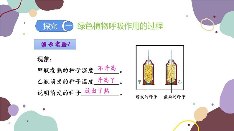 人教版生物七年级上册 3.5.2 绿色植物的呼吸作用优化课件03