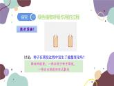 人教版生物七年级上册 3.5.2 绿色植物的呼吸作用优化课件