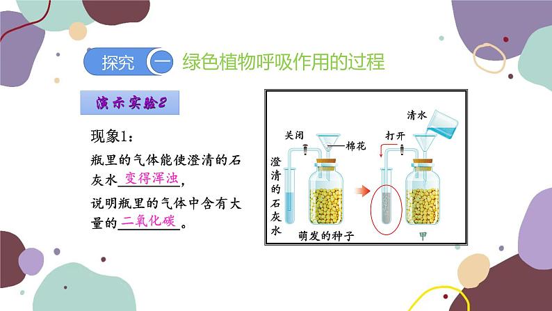 人教版生物七年级上册 3.5.2 绿色植物的呼吸作用优化课件06