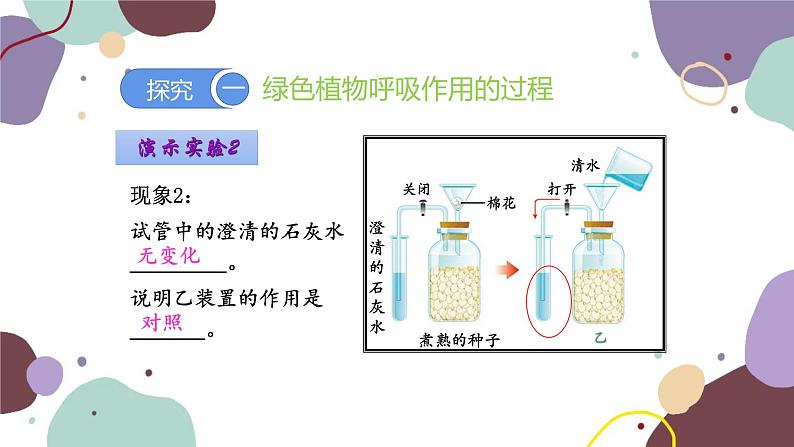 人教版生物七年级上册 3.5.2 绿色植物的呼吸作用优化课件07