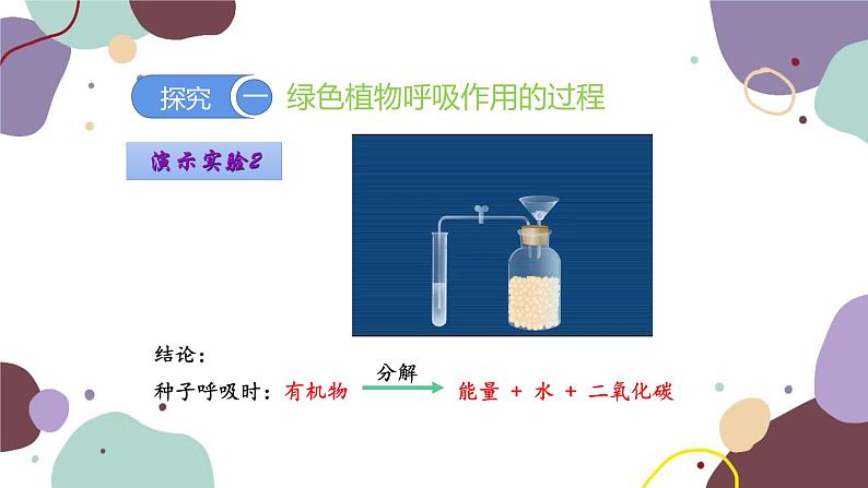 人教版生物七年级上册 3.5.2 绿色植物的呼吸作用优化课件08