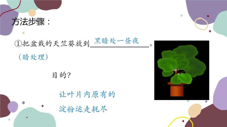 济南版生物七年级上册 2.1.3绿色植物的光合作用 第1课时课件06