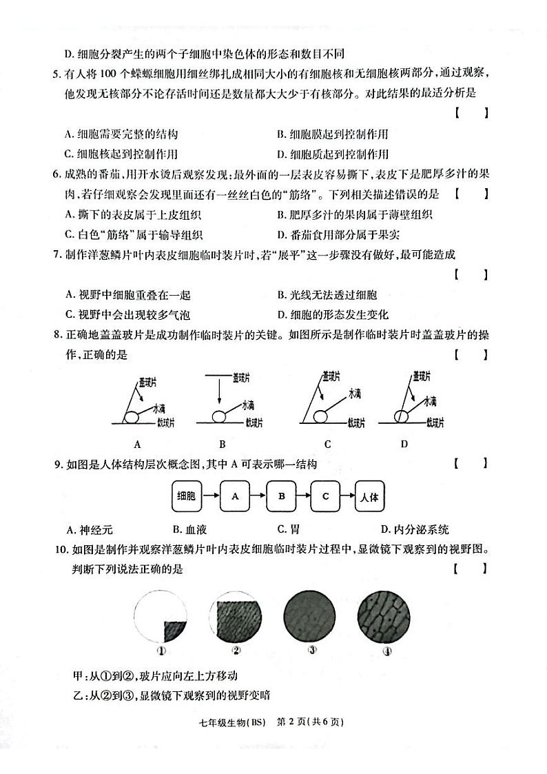 河南省新乡市卫辉市2023-2024学年七年级上学期期中生物试题第2页