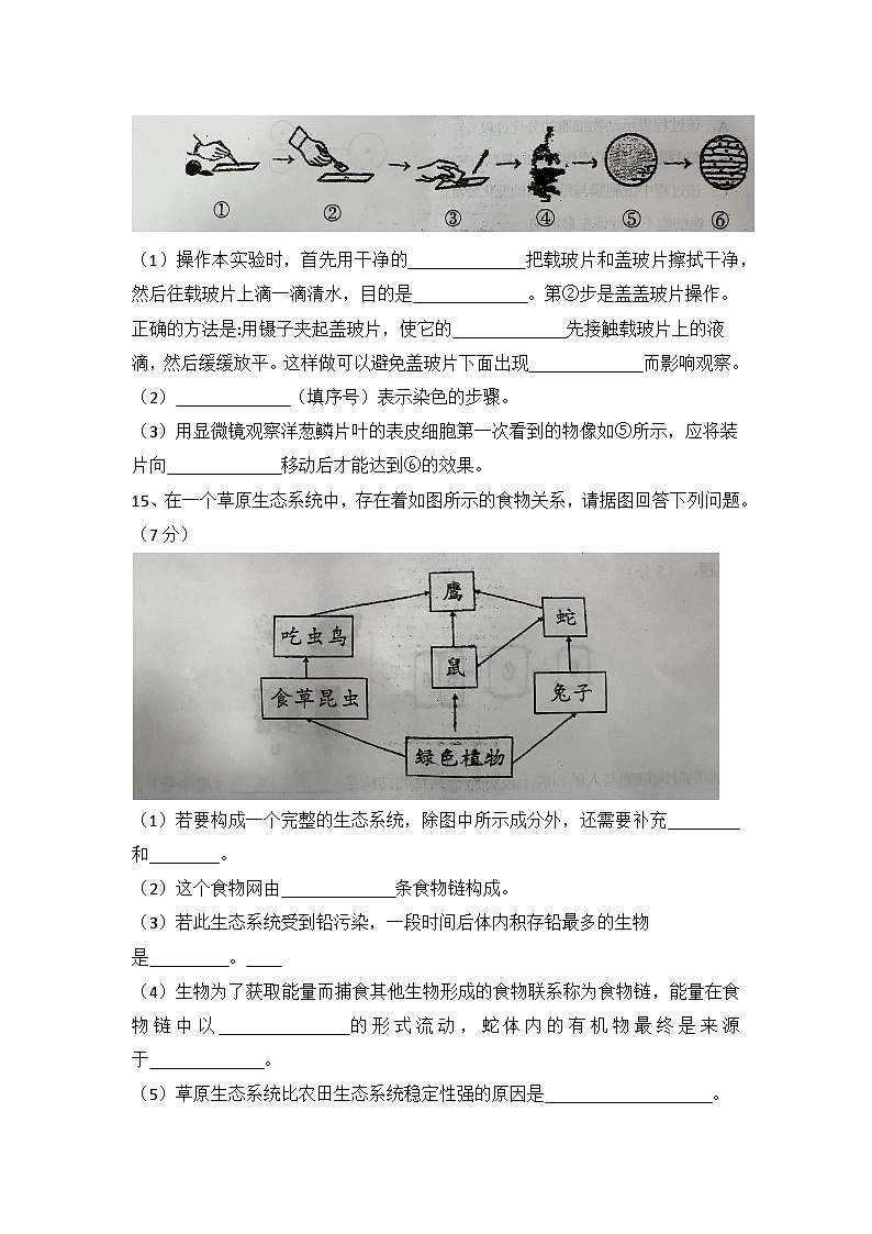 湖北省武穴市大金镇中学2023-2024学年七年级上学期期中质量检测生物试题第3页