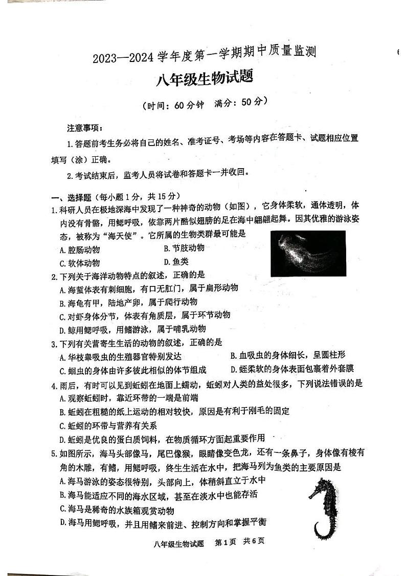 山东省泰安市宁阳县2023-2024学年八年级上学期期中生物试题01