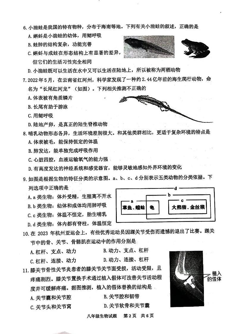 山东省泰安市宁阳县2023-2024学年八年级上学期期中生物试题02