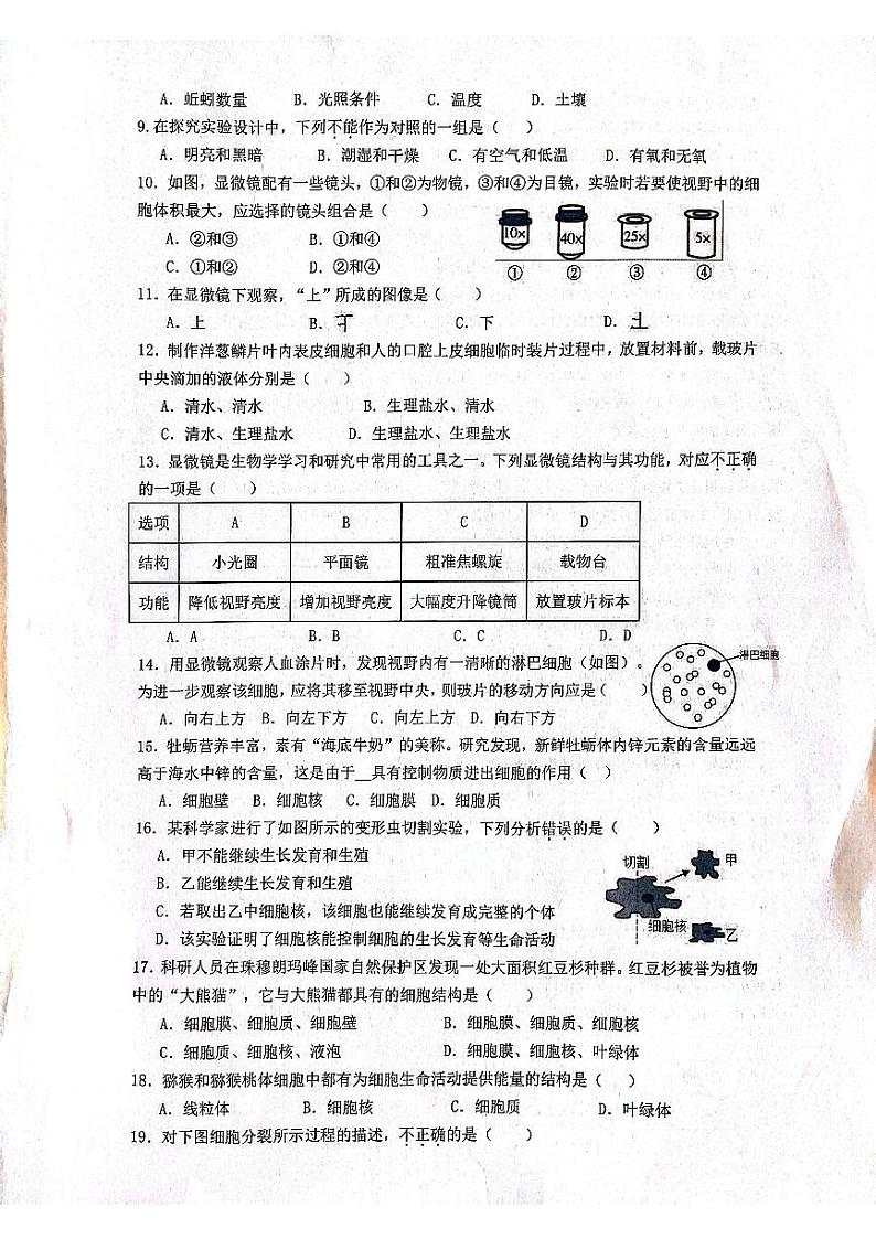 安徽省合肥市包河区2023-2024学年七年级上学期期中生物试题02
