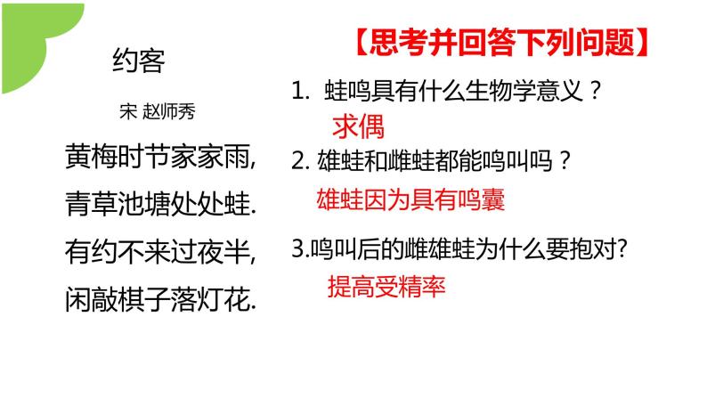 【核心素养】人教版初中生物八年级下册7.1.3《两栖动物的生殖和发育》课件+教案+课时练习（含教学反思）07