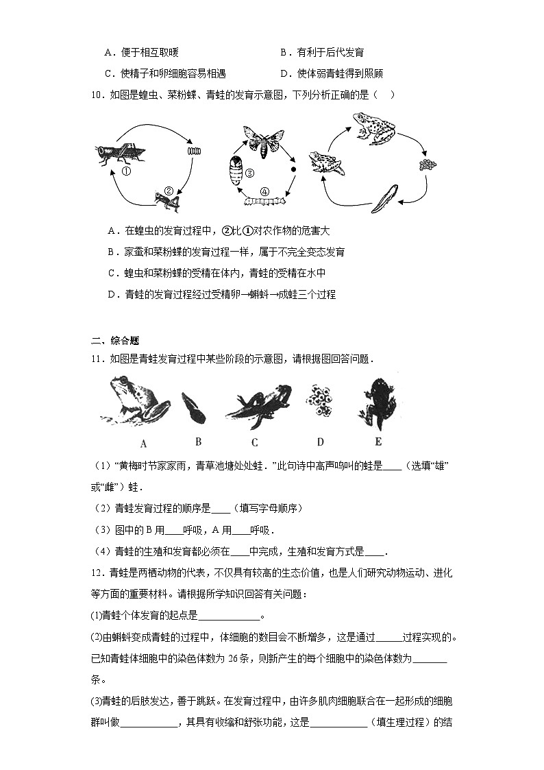 【核心素养】人教版初中生物八年级下册7.1.3《两栖动物的生殖和发育》课件+教案+课时练习（含教学反思）02