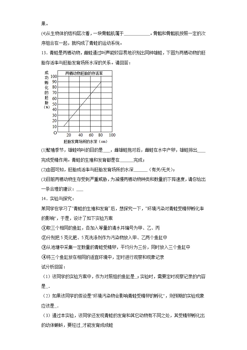 【核心素养】人教版初中生物八年级下册7.1.3《两栖动物的生殖和发育》课件+教案+课时练习（含教学反思）03