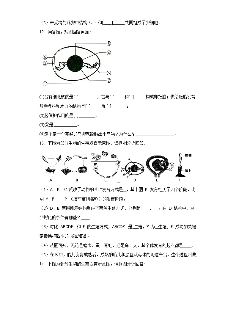 【核心素养】人教版初中生物八年级下册7.1.4《鸟类的生殖和发育》课件+教案+课时练习（含教学反思）03