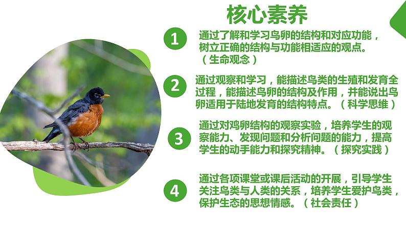 【核心素养】人教版初中生物八年级下册7.1.4《鸟类的生殖和发育》课件+教案+课时练习（含教学反思）02