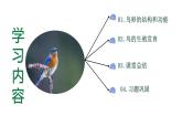 【核心素养】人教版初中生物八年级下册7.1.4《鸟类的生殖和发育》课件+教案+课时练习（含教学反思）