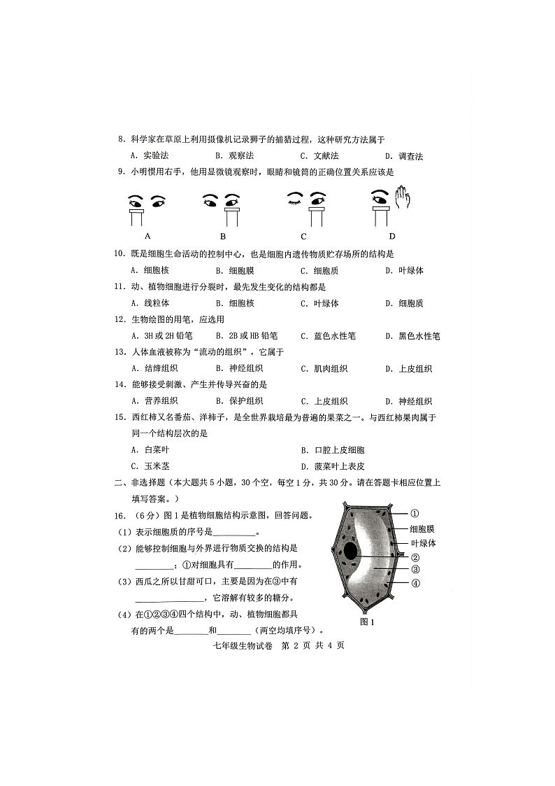 广西贵港市港南区2023-2024学年七年级上学期期中生物试题第2页