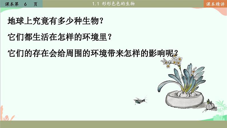 北师大版生物七年级上册 1.1 形形色色的生物课件05