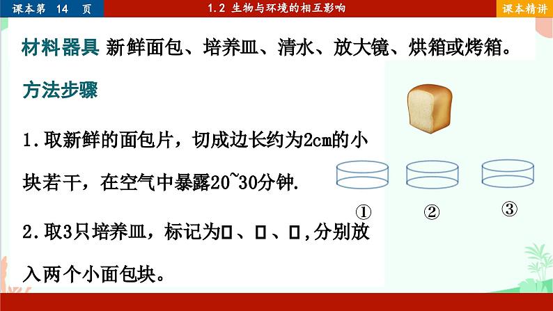 北师大版生物七年级上册 1.2 生物与环境的相互影响课件07