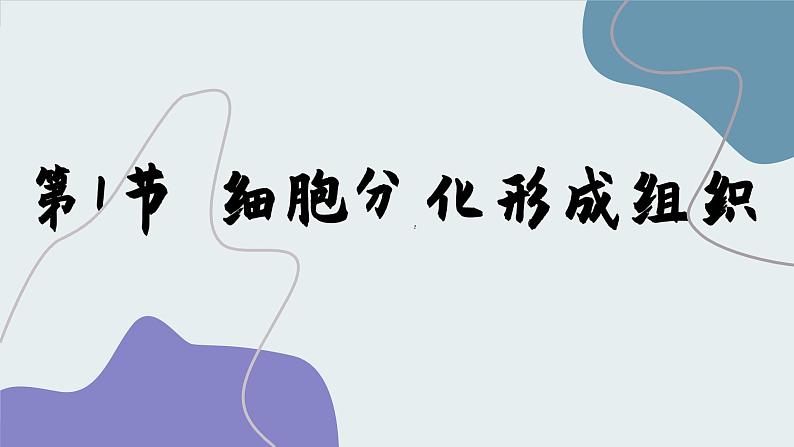 北师大版生物七年级上册 4.1 细胞分化形成组织课件01